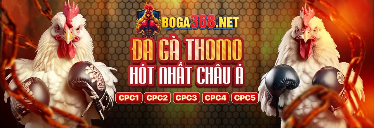 Hình ảnh chính về tin tức songbac68 đăng nhập với các sự kiện thể thao và giải trí trực tuyến